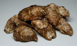 Selection of Osprey Oysters